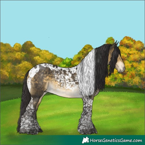 Horse Color:Buckskin Mushroom Tobiano 