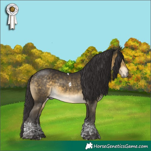 Horse Color:Buckskin Mushroom Tobiano 