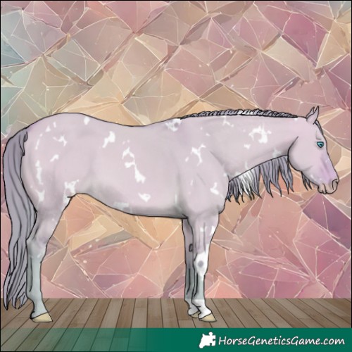 Horse Color:Watercolor White Spotted Perlino Dun 
