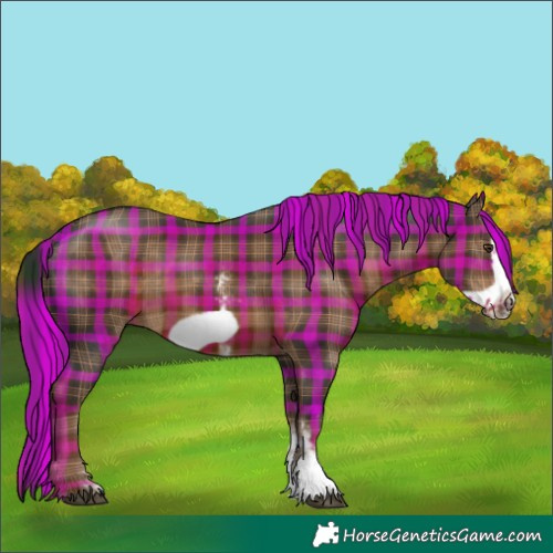 Horse Color:Plaid  Liver Chestnut Sabino Frame 