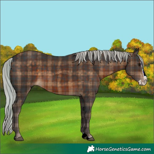 Horse Color:Plaid Silver Brown Splash