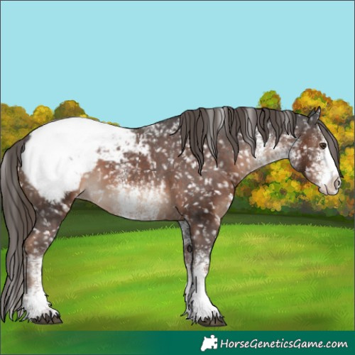 Horse Color:White Spotted Liver Chestnut Splash Snowcap 