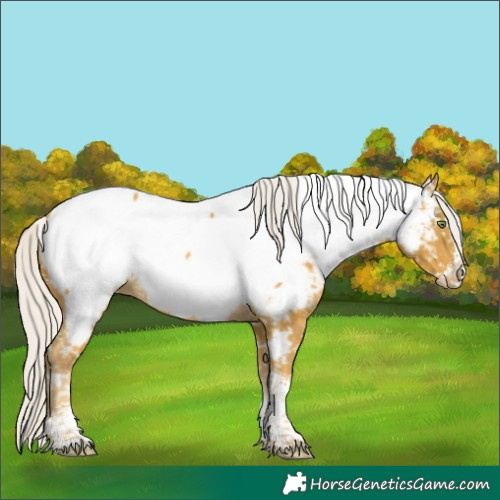 Horse Color:Silver Sable Cream Champagne Sabino Splash Tobiano Appaloosa