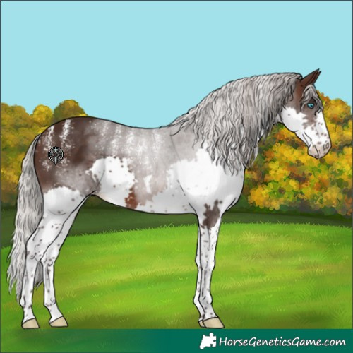 Horse Color:Powder White Silver Brown Splash Tobiano 