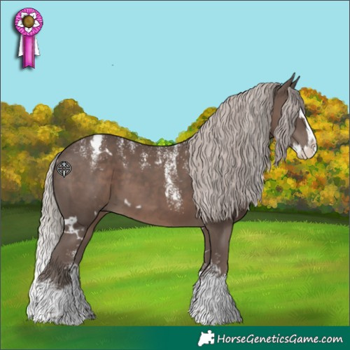 Horse Color:Powder White White Spotted Silver Black Splash 