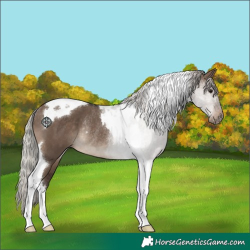 Horse Color:Silver Brown Dun Tobiano Rabicano 
