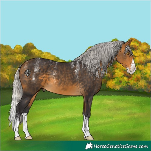 Horse Color:Powder White Silver Buckskin Splash