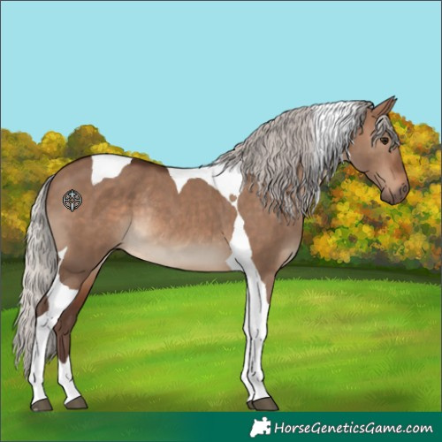 Horse Color:Silver Brown Dun Tobiano Rabicano 