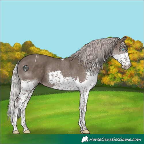Horse Color:Silver Black Splash Tobiano 