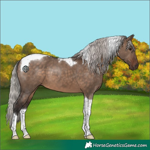Horse Color:Silver Brown Dun Tobiano