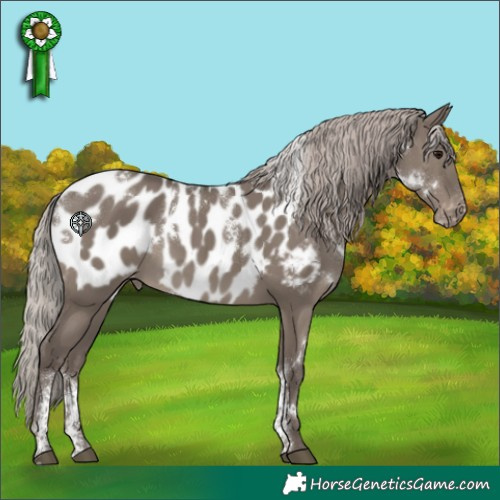 Horse Color:Powder White White Spotted Silver Grullo Blanket Rabicano 
