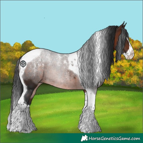Horse Color:Powder White Brown Splash Tobiano 