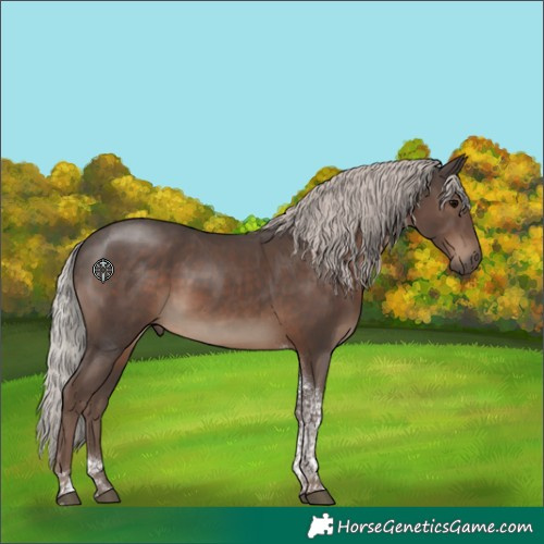 Horse Color:Silver Black Tobiano 