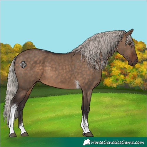 Horse Color:Silver Brown Dun Tobiano 