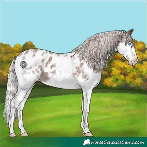 Horse Color:Powder White Silver Black Splash Tobiano Appaloosa 