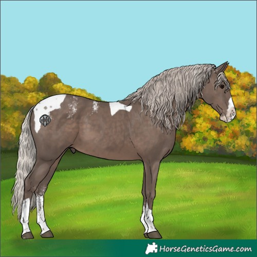 Horse Color:Powder White Silver Black Splash Tobiano 