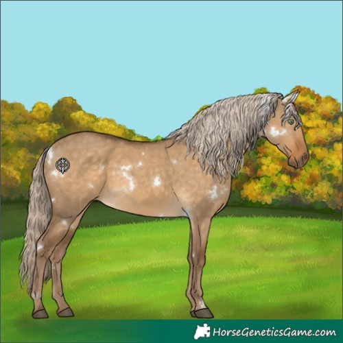 Horse Color:White Spotted Chocolate Palomino Dun Rabicano 