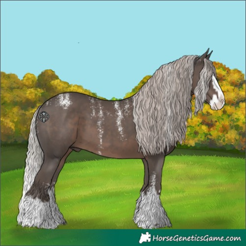 Horse Color:Powder White Silver Black Splash 