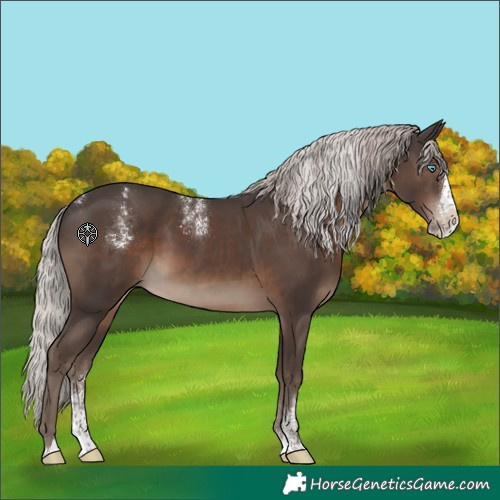 Horse Color:Powder White Silver Black Splash 