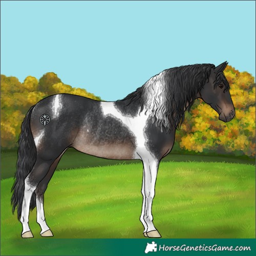 Horse Color:Brown Tobiano Rabicano 