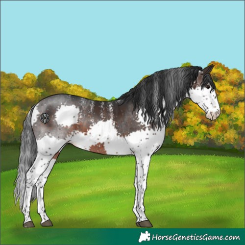 Horse Color:Powder White Brown Splash Tobiano 