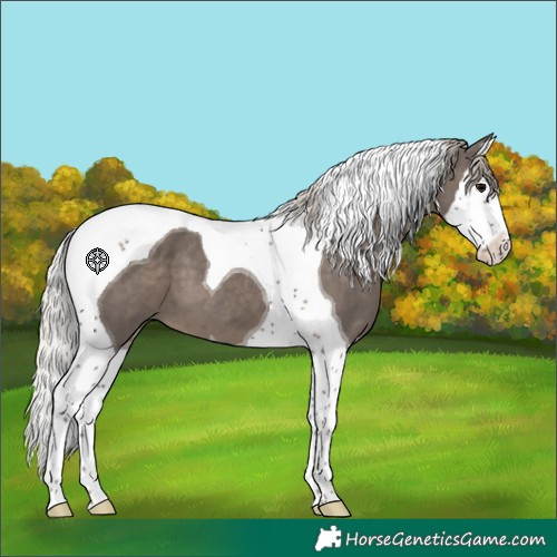 Horse Color:Silver Black Splash Tobiano 