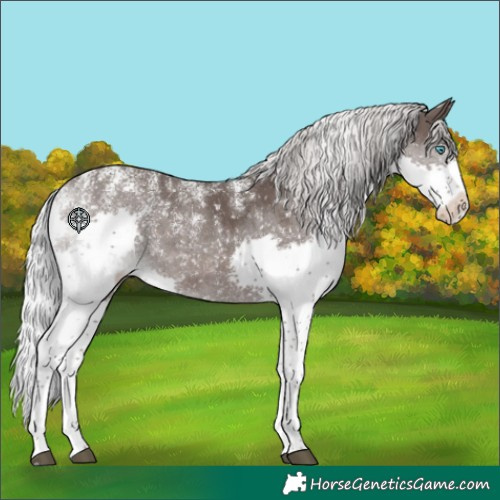 Horse Color:Powder White Platinum Silver Black Splash Snowflake Varnish 