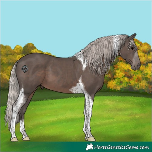 Horse Color:Silver Black Tobiano