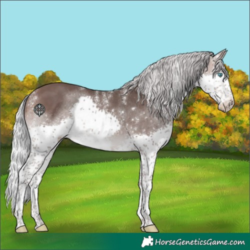 Horse Color:Powder White Platinum Silver Brown Splash 