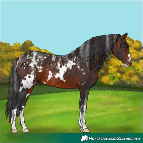 Horse Color:Powder White White Spotted Brown 