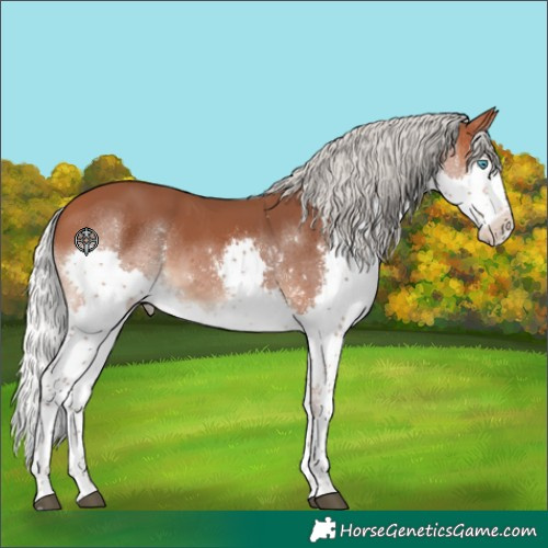 Horse Color:Silver Bay Splash Tobiano 
