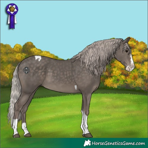 Horse Color:Silver Black Splash Tobiano 
