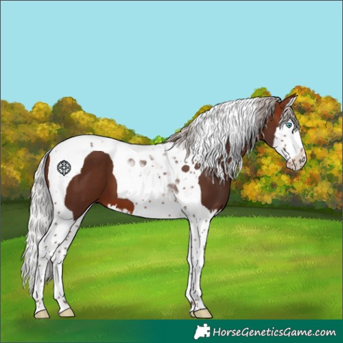 Horse Color:Silver Brown Splash Tobiano 