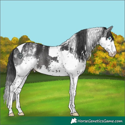 Horse Color:Powder White Black Splash Tobiano