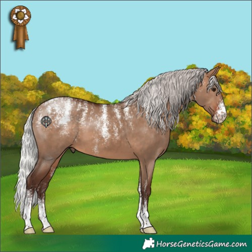 Horse Color:Powder White Silver Brown Dun