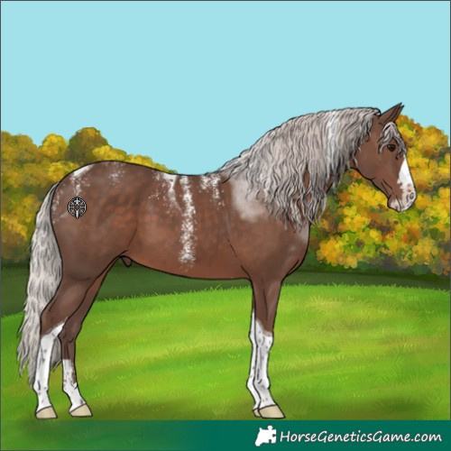 Horse Color:Powder White Silver Black Splash Tobiano 
