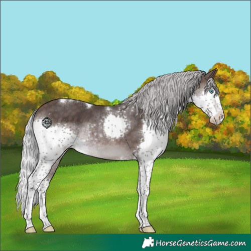 Horse Color:Platinum Silver Brown Splash Tobiano 