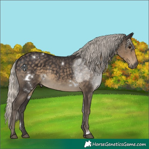Horse Color:White Spotted Silver Smoky Black Rabicano 