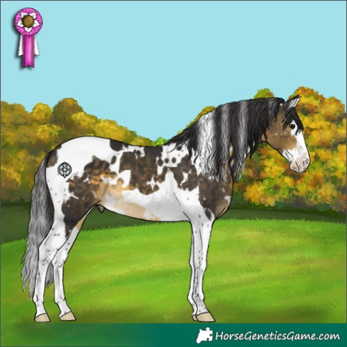 Horse Color:White Spotted Buckskin Splash Tobiano