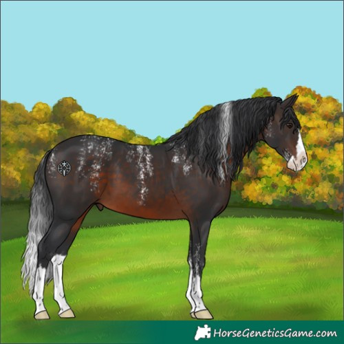 Horse Color:Powder White Brown Splash 