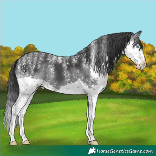 Horse Color:Powder White Black Splash Tobiano