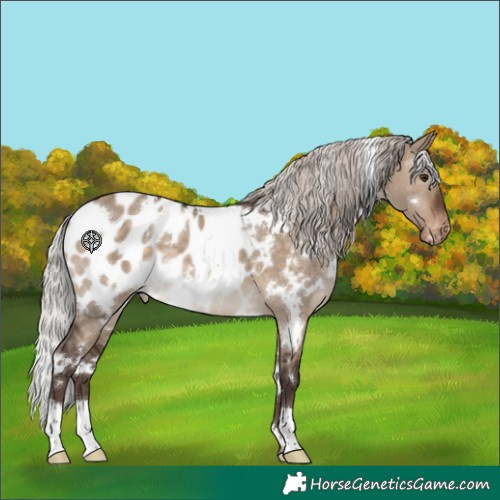 Horse Color:White Spotted Silver Brown Dun Blanket 