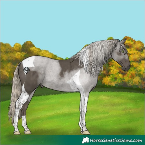 Horse Color:Silver Smoky Black Tobiano