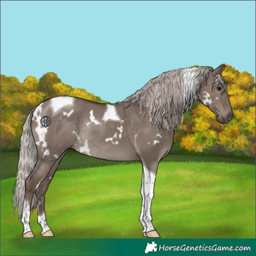 Horse Color:White Spotted Silver Grullo Tobiano Rabicano 