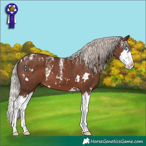 Horse Color:Powder White White Spotted Silver Black Splash 