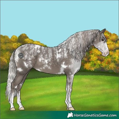 Horse Color:Powder White White Spotted Silver Black