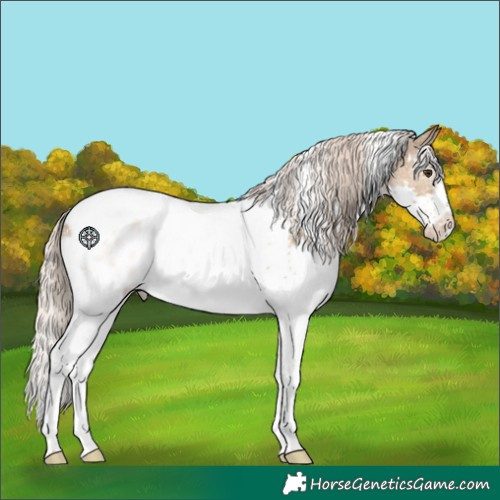 Horse Color:White Spotted Chocolate Palomino Splash Tobiano Blanket Rabicano 