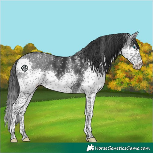 Horse Color:Powder White Platinum Black Splash Tobiano Snowflake Varnish 