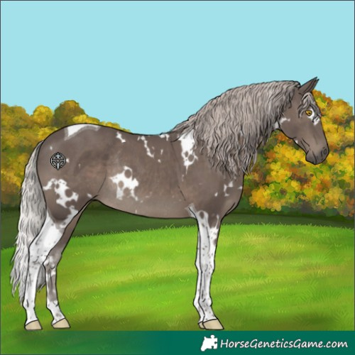 Horse Color:White Spotted Silver Black Tobiano Rabicano 