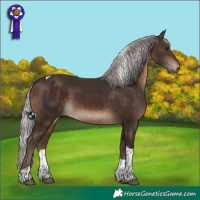 Horse Color:Silver Brown Tobiano